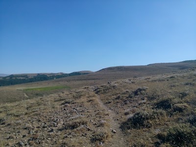 Photos of Emec Iletisim