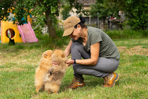 Photo n°16 de La Ferme des Hallais à Saint-Denis-d'Orques (Pension pour chiens)