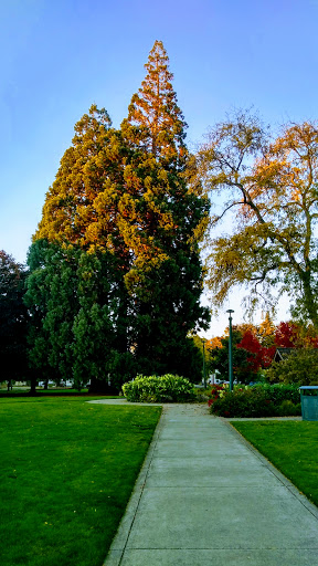 Bagley Park - Visual
