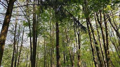 Photos of Парк Им.Суворова