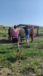 Photo n°6 de Venez Murmurer Avec Les Chevaux equicoaching à Saint-Juan (Coaching professionnel)