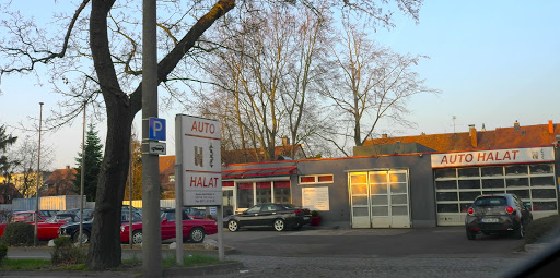 Wilfried Halat - Visual