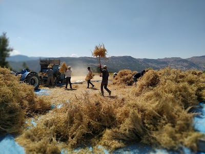 Göktepe Doğal Ürünleri