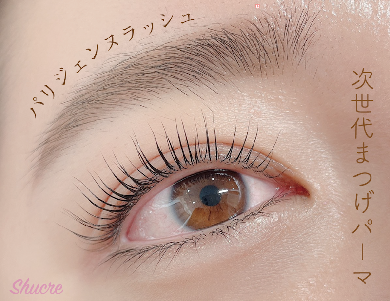 シュクレ 豊田店