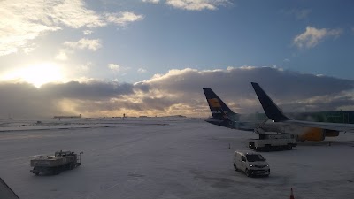 Photos of Gray Line