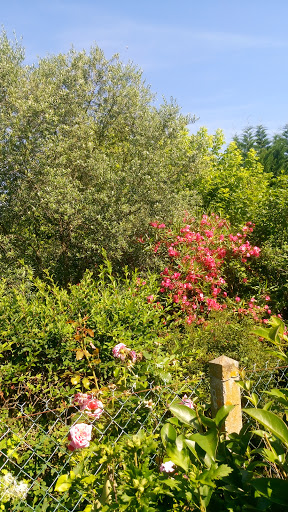 Les Petits Petons Du Blayais Gallery - France