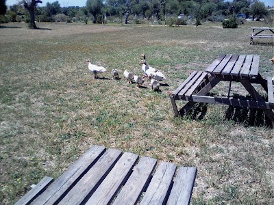 photo of Museum of Honey and Bees Rancho Courtier