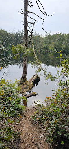 Lake Marie, Umpqua State Park - Thumbnail