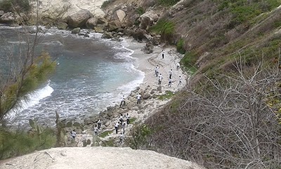 Photos of Little Bay