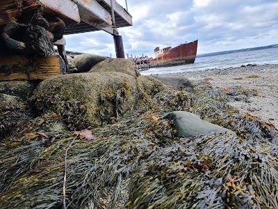 Morse Cove Marine