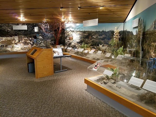 Parc national des Guadalupe Mountains