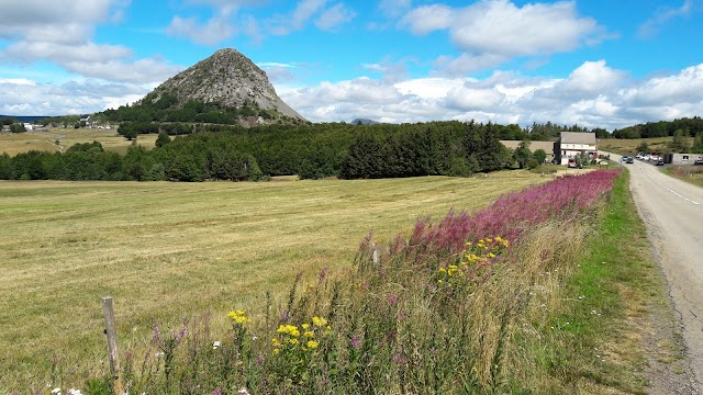 Mont Gerbier de jonc