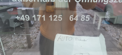 Auto Rastoder - Visual