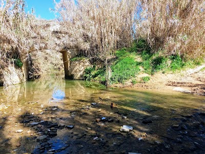 Photos of Parque Rio Pudio