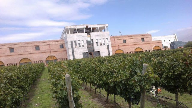 Clos de los Siete