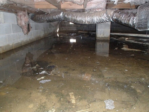 Lumina Water Damage Restoration photo