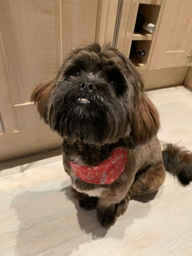 Boodles Dog Treats UK - Thumbnail