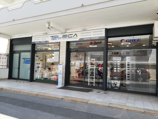 Teleca - Visual