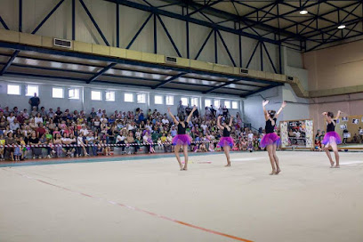 Γυμναστική Ένωση Λάρισας