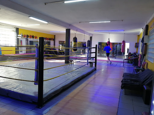 M&N Boxing Training School