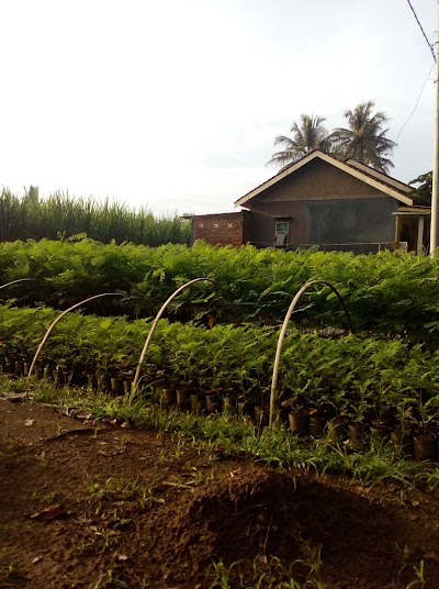 Photos of Taman Ijo Bunga