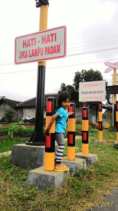 Photos of Cibil