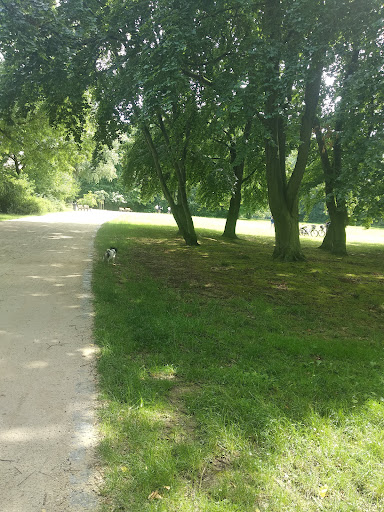 Liegewiese Grüneburgpark - Thumbnail