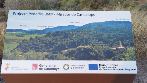 Mirador de Cantallops - Thumbnail