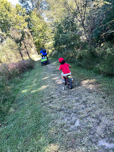 Wolf River Trail - Visual