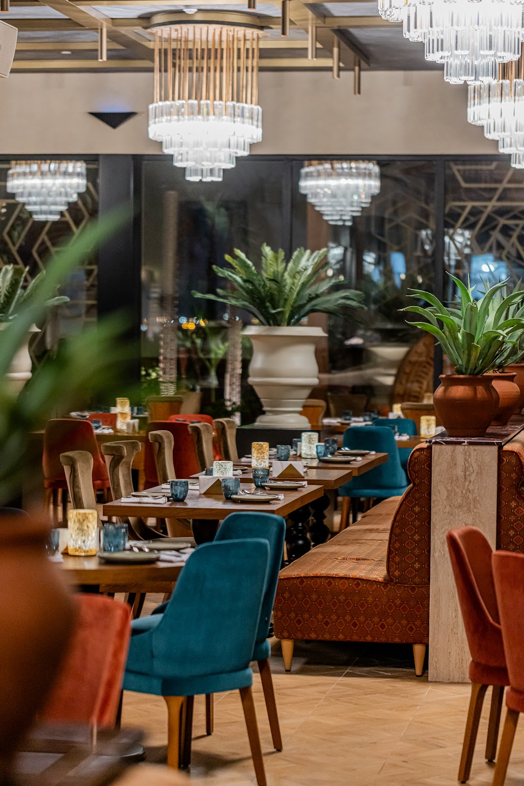 ميموزا - صورة 2