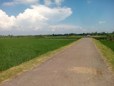 Photos of Dewanganj Railway Station