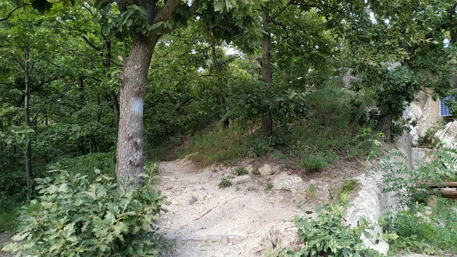 Értékelések erről a helyről: Szomolyai kaptárkövek, Eger - Múzeum