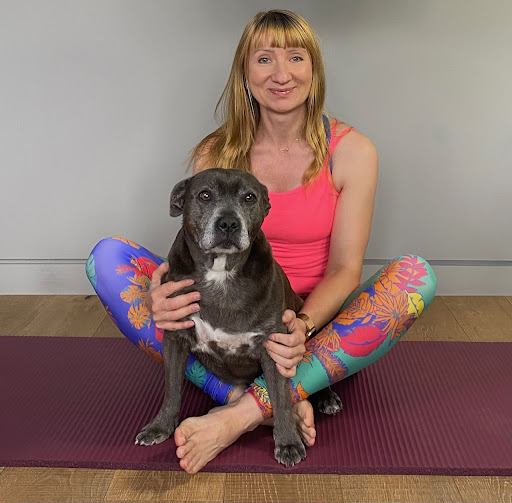 Dog Spa Harrow Small and Medium Pet Grooming Services with Monika