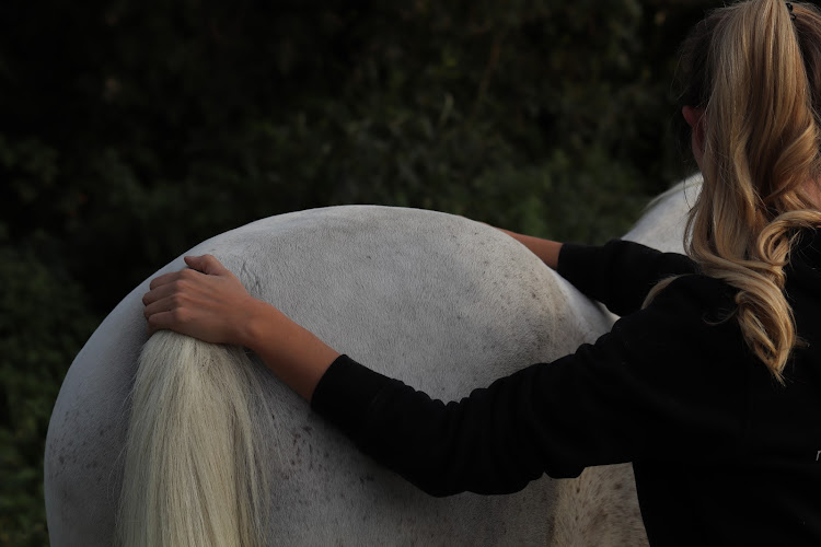 RheinPferd Physiotherapie & Osteopathie - Sarah Llopis photo