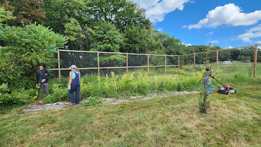CCBC Essex Community Garden - Thumbnail