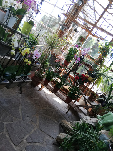 Blumenfenster Biersack Gallery - Germany