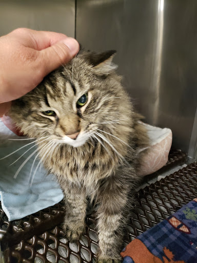 Tri-County Veterinary Services LLC - Thumbnail