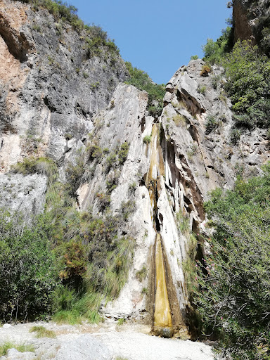 Sendero Cascada de los Árboles Petrificados