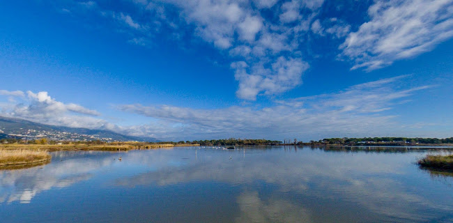 A Vista 360