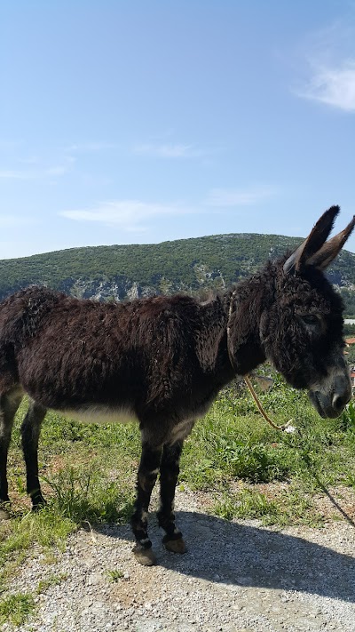 Şehit Osman Kar Aparkı