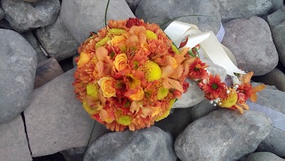 Photos of Soltan Flower