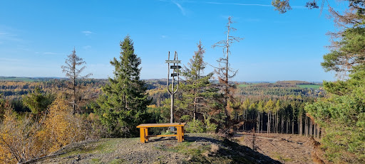 Culm, Biotop und Schieferhalde