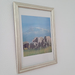 Photo n°1 de Olivier Otman Ostéopathe D.O. M(Ost.) à Périgueux (Ostéopathe)