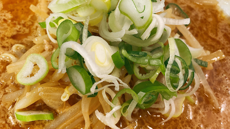 札幌味噌らーめん 葵葉 一番町本店【aoba】