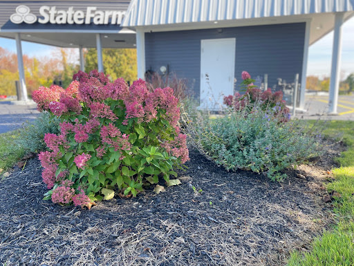 John Fortier - State Farm Insurance Agent - Thumbnail