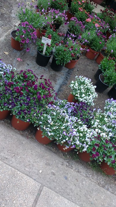 Photos of Vivero Los Tilos