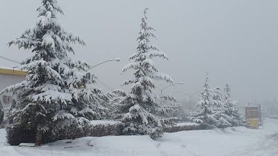 Photos of Park-e-Jangali
