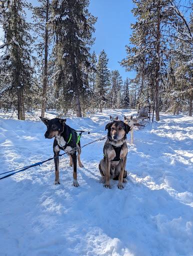 Lapland Wilderness Tours - Thumbnail