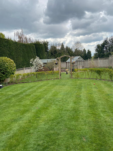 Matty's Gardening Services