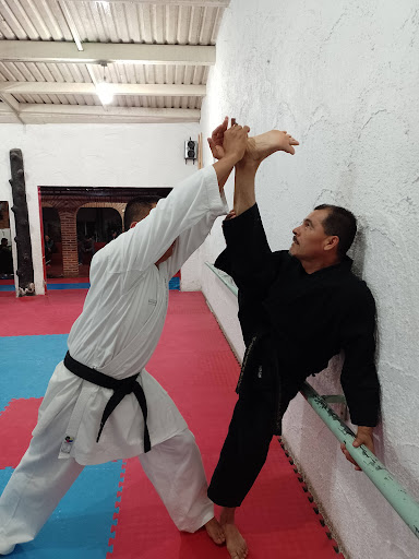 Karate - Visual